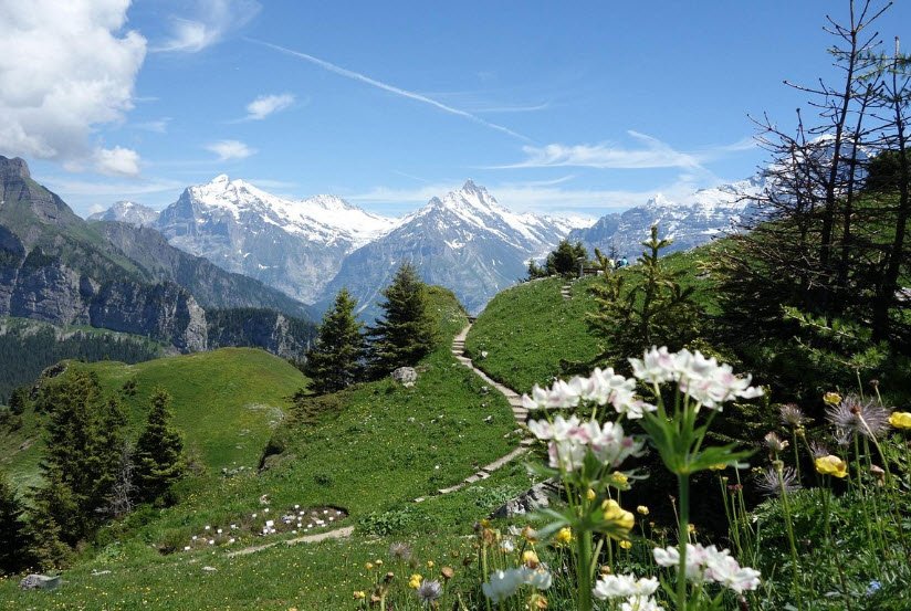 Botanischer Alpengarten Schynige Platte, Switzerland